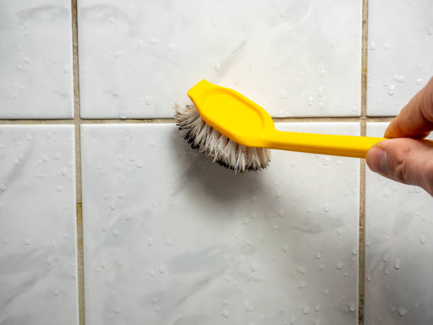 Certified Mold Removal in Bovina, TX