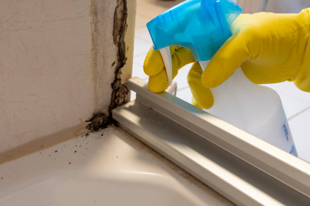 Best Residential Mold Removal  in Bovina, TX