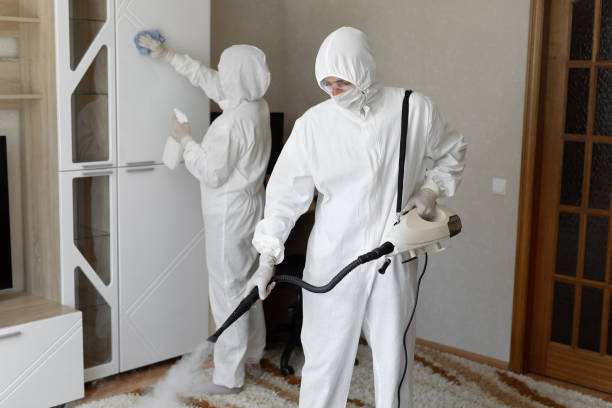 Best Home Mold Removal  in Bovina, TX