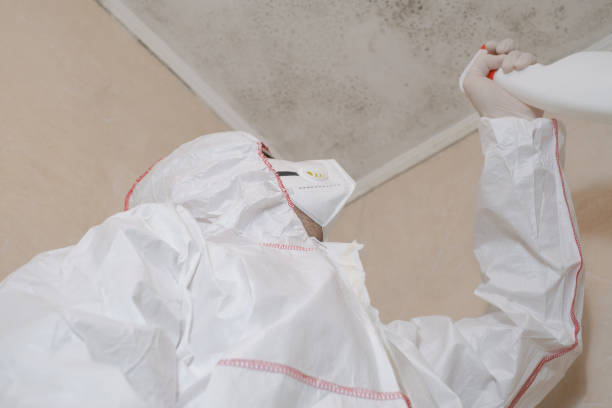 Best Professional Mold Removal  in Bovina, TX