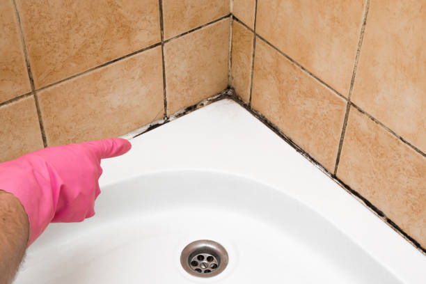 Best Crawl Space Mold Removal  in Bovina, TX
